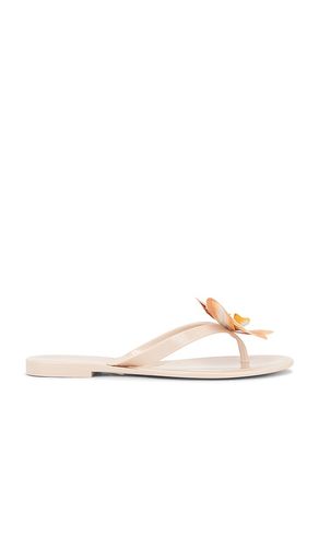 SANDALES POPPYSEED in . Size 7, 8, 9 - Steve Madden - Modalova