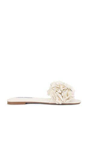 SANDALES FLO in . Size 6, 6.5, 7.5, 8, 8.5, 9.5 - Steve Madden - Modalova