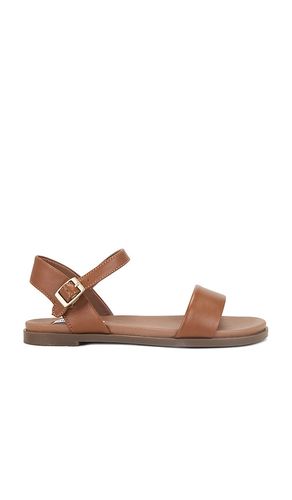 SANDALES DINA en . Taille 10. Also en 6, 6.5, 7, 7.5, 8, 8.5, 9, 9.5 - Steve Madden - Modalova