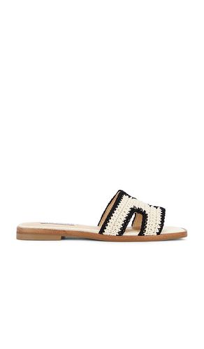 SANDALES HADYN-M en . Taille 6. Also en 7, 8.5, 10 - Steve Madden - Modalova