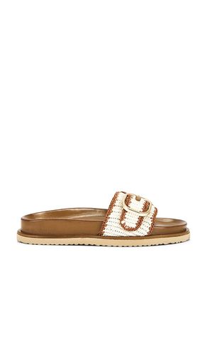 SANDALES MEMPHIS en . Taille 10. Also en 6, 6.5, 7, 7.5, 8, 8.5, 9, 9.5 - Steve Madden - Modalova