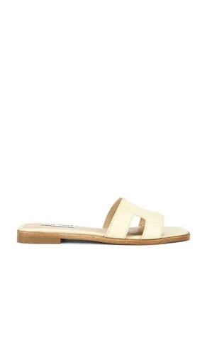 SANDALES HADYN in . Size 6, 6.5, 7.5, 8, 8.5, 9, 9.5 - Steve Madden - Modalova