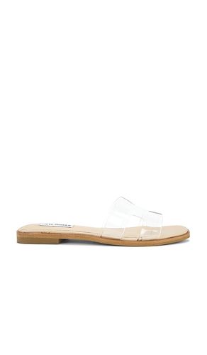 SANDALES HADYN in . Size 6, 6.5, 7.5, 8, 8.5, 9, 9.5 - Steve Madden - Modalova