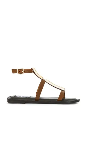 SANDALES ALMA in . Size 5.5, 6, 6.5, 7, 7.5, 8, 8.5, 9, 9.5 - Steve Madden - Modalova