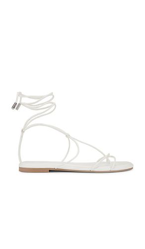 SANDALES MYRTLE in . Size 5, 6, 6.5, 7, 7.5, 8, 8.5, 9, 9.5 - Steve Madden - Modalova