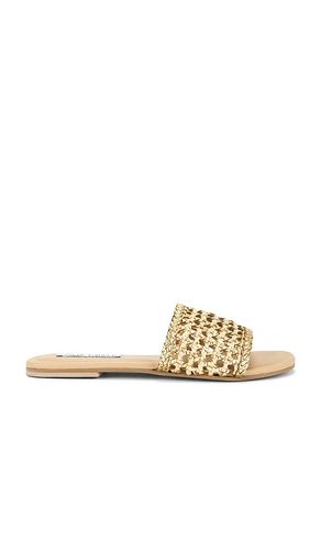 Gulf Slides in . Size 6, 6.5, 7, 7.5, 8, 8.5, 9, 9.5 - Steve Madden - Modalova