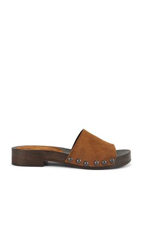SANDALES CENTO in . Size 7, 8, 9 - Steve Madden - Modalova