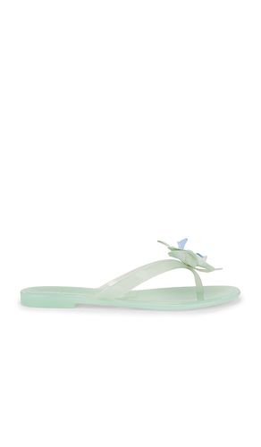 TONGS POPPYSEED in . Size 8, 9 - Steve Madden - Modalova