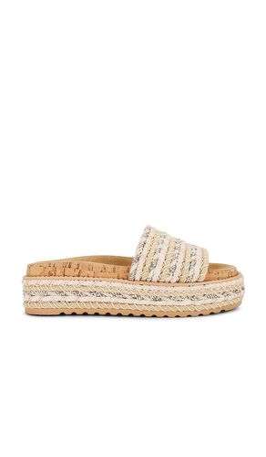 NU-PIED BELLER en . Taille 10. Also en 9.5 - Steve Madden - Modalova