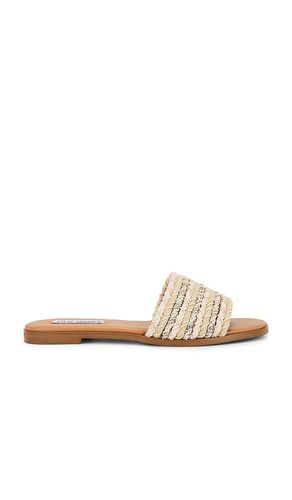 NU-PIED KASSI in . Size 6.5 - Steve Madden - Modalova