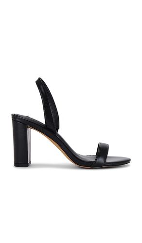 ESCARPINS EMILE en . Taille 10. Also en 6, 8.5, 9.5 - Steve Madden - Modalova