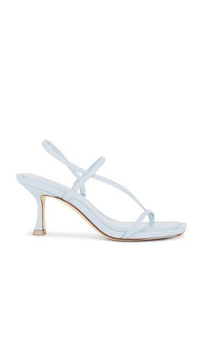 SANDALES LOCKE in . Size 5.5, 6, 7.5, 8.5 - Steve Madden - Modalova