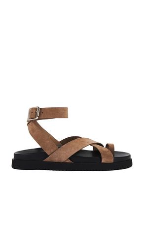 SANDALES MIRA in . Size 6, 6.5, 7.5, 8, 9, 9.5 - Steve Madden - Modalova