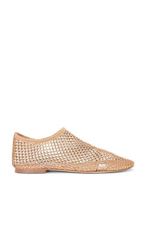 PLAT MINO en . Taille 6. Also en 5.5, 6.5, 7, 7.5, 8, 8.5, 9, 9.5, 10 - Steve Madden - Modalova