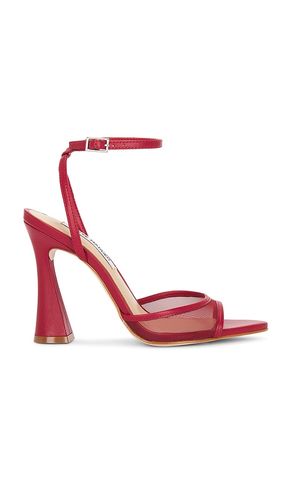 SANDALES BEKI-M in . Size 9, 9.5 - Steve Madden - Modalova