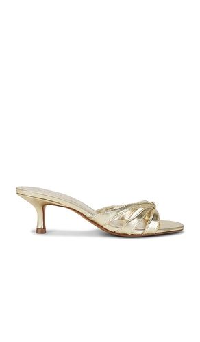 SANDALES CARY in . Size 6, 6.5, 7, 7.5, 8, 8.5 - Steve Madden - Modalova
