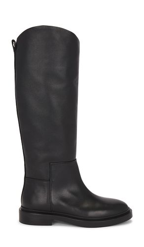BOTTINES GAIGE in . Size 7 - Steve Madden - Modalova