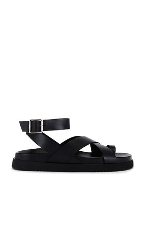 SANDALES MIRA in . Size 6, 6.5, 7, 7.5, 8 - Steve Madden - Modalova