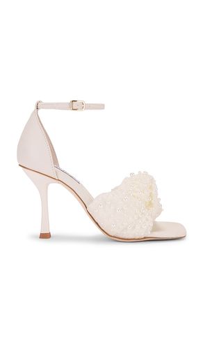 ESCARPINS ASSUME in . Size 6.5, 7.5, 8, 8.5, 9.5 - Steve Madden - Modalova