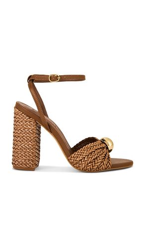 SANDALES CHEYLA en . Taille 10. Also en 7.5, 8, 8.5, 9.5 - Steve Madden - Modalova