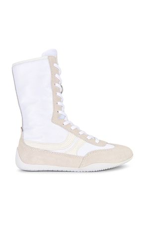 BOOTS SNEAKER PAXTIN en . Taille 10. Also en 6, 6.5, 7, 7.5, 8, 8.5, 9, 9.5 - Steve Madden - Modalova
