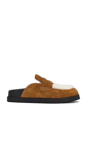SABOT TOMLIN en . Taille 6. Also en 7, 8, 10 - Steve Madden - Modalova