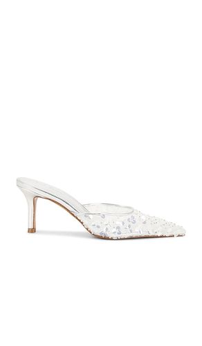 ESCARPIN ALEXI en , . Taille 6. Also en 6.5, 7, 7.5, 8, 8.5, 9 - Steve Madden - Modalova