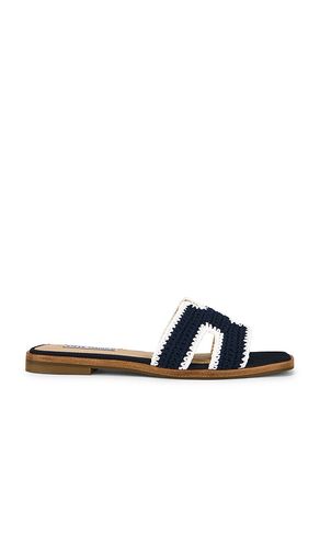 SANDALES HADYN-M en . Taille 6. Also en 8.5 - Steve Madden - Modalova