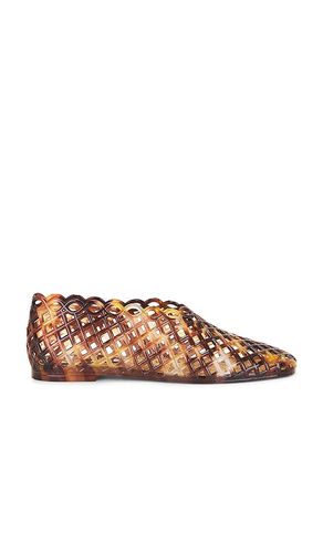 PLAT GROVE en . Taille 10. Also en 6, 7, 8, 9 - Steve Madden - Modalova