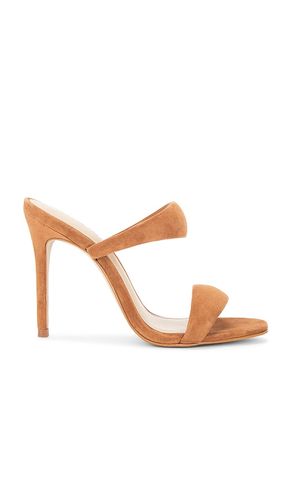 SANDALES SATURN en . Taille 6. Also en 6.5, 7.5, 8, 8.5, 9, 9.5, 10 - Steve Madden - Modalova