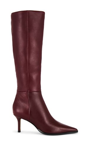 BOTTINES LINGO en . Taille 7. Also en 8.5 - Steve Madden - Modalova