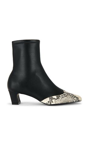 BOTTINES JETER-A en . Taille 6. Also en 6.5, 7, 7.5, 8, 8.5, 9 - Steve Madden - Modalova
