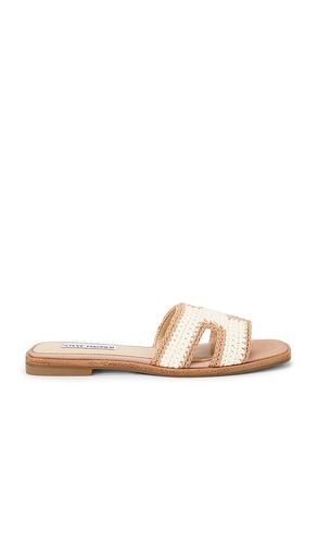 SANDALES HADYN-M en . Taille 6. Also en 6.5, 7.5, 10, 5.5 - Steve Madden - Modalova