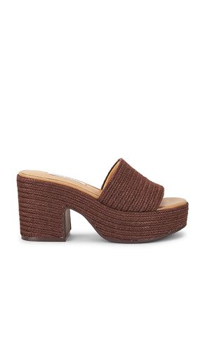SANDALES TRIPPY en . Taille 8. Also en 8.5, 9, 9.5, 10 - Steve Madden - Modalova