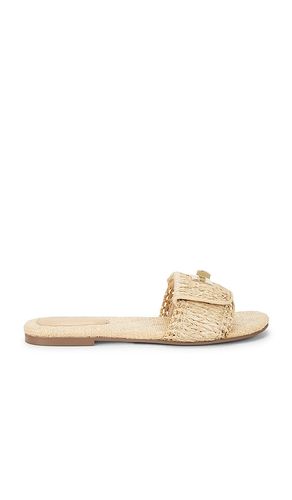 SANDALES MORELAND-R en . Taille 6. Also en 9.5 - Steve Madden - Modalova