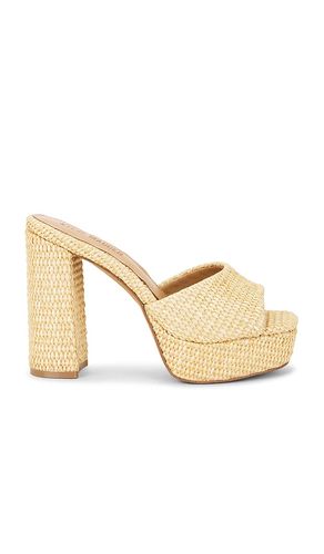 SANDALES JOEL en . Taille 9. Also en 10 - Steve Madden - Modalova