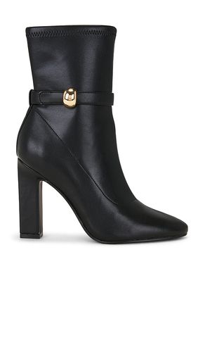 BOTTINES AROMA en . Taille 10. Also en 7.5, 8.5, 9, 9.5 - Steve Madden - Modalova