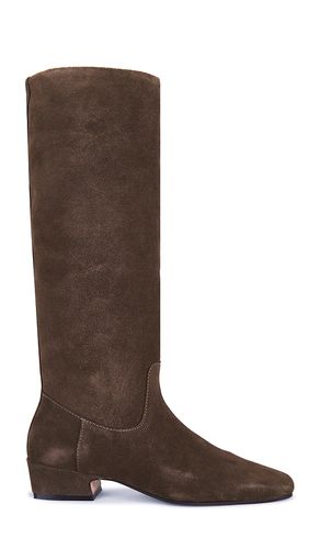 BOTTINES DANTELLE en . Taille 6. Also en 6.5, 7.5 - Steve Madden - Modalova
