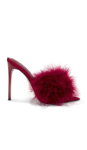ESCARPINS ASHBEY en . Taille 6. Also en 6.5, 7.5, 8, 8.5, 9.5, 10 - Steve Madden - Modalova