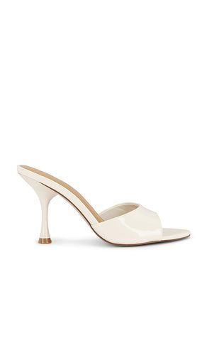 SANDALES SANTI en . Taille 6. Also en 6.5, 7.5, 8, 8.5, 9, 9.5, 10, 5.5, 11 - Steve Madden - Modalova