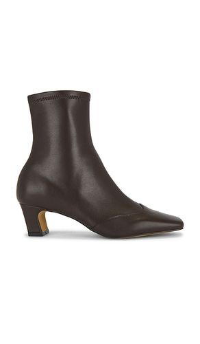 BOTTINES JETER en . Taille 6. Also en 6.5, 7, 7.5, 8, 9, 9.5, 10, 5.5 - Steve Madden - Modalova