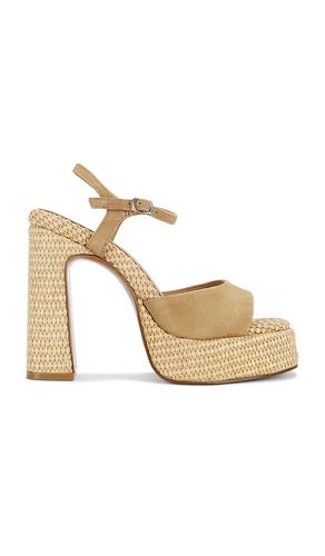 SANDALES LIANDRA en . Taille 7.5. Also en 9, 9.5, 10 - Steve Madden - Modalova