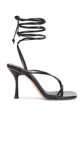 SANDALES ALARI in . Size 11, 5, 6, 6.5, 7, 7.5, 8, 8.5, 9, 9.5 - Steve Madden - Modalova