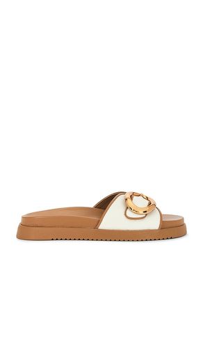 Mandie Slides in . Size 6, 6.5, 7, 7.5, 8, 8.5, 9, 9.5 - Steve Madden - Modalova