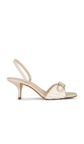 SANDALES HENRIETTA in . Size 6, 6.5, 7, 7.5, 8, 8.5, 9, 9.5 - Steve Madden - Modalova