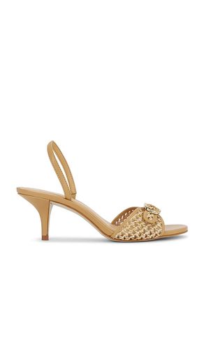 SANDALES HENRIETTA en . Taille 10. Also en 6, 8.5, 9 - Steve Madden - Modalova