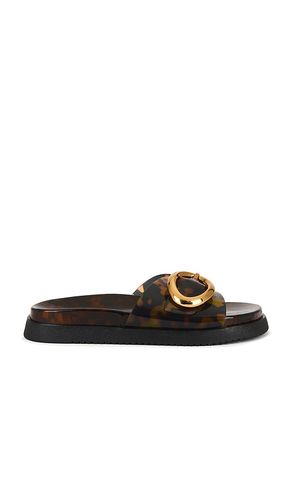 Mandie Slides in . Size 6.5, 7, 7.5, 8 - Steve Madden - Modalova