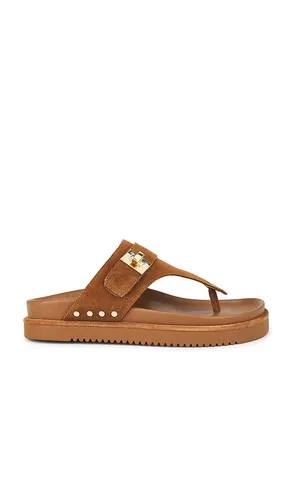 SANDALES THONA in . Size 6, 6.5, 7, 7.5, 8, 8.5, 9, 9.5 - Steve Madden - Modalova