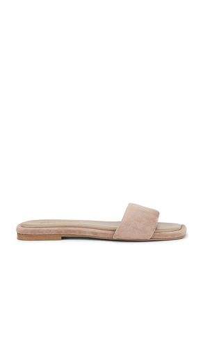 Lumina Slides in . Size 5, 6, 6.5, 7, 7.5, 8, 8.5, 9, 9.5 - Steve Madden - Modalova