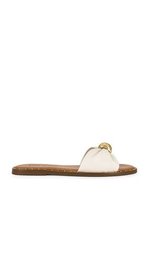 PLAT DIPSY in . Size 6, 6.5, 7, 7.5, 8, 8.5, 9, 9.5 - Steve Madden - Modalova